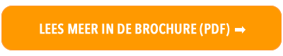 Download informatiebrochure Executive MBA voor Food en Retail